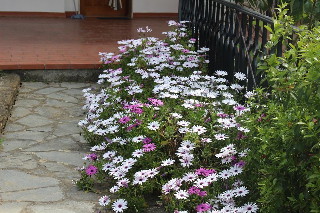 House In Caramagna Apartment Imperia Room photo